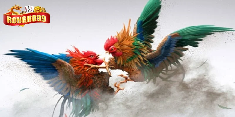 cac kieu thi dau truc tuyen pho bien hien nay cac kieu thi dau truc tuyen pho bien hien nay