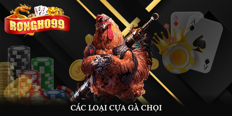 cac loai cua ga choi