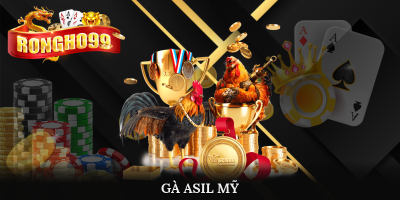 ga asil my