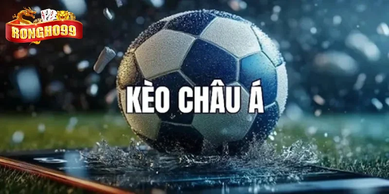 nhung bi quyet dat cuoc chau a cho nguoi moi