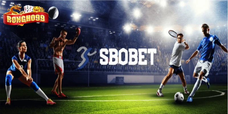 ly do nen trai nghiem tai sbobet ly do nen trai nghiem tai sbobet